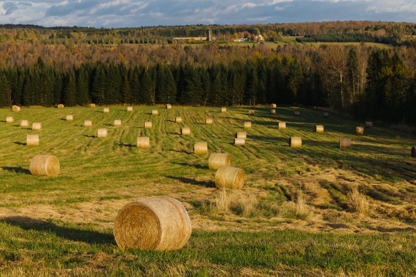 Paysage agricole à Saint-Isidore-de-Clifton, MRC du Haut-Saint-François, Estrie.